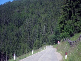 IMG_1209.jpg