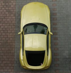 image.jpg