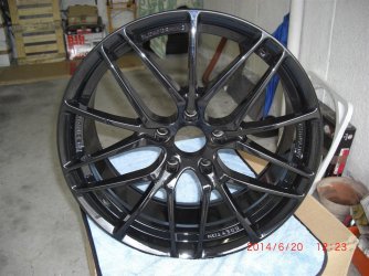 CIMG2299 (Large).JPG