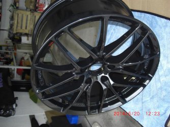 CIMG2300 (Large).JPG