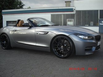 CIMG2308 (Large).JPG