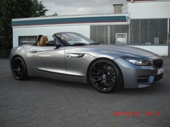 CIMG2310 (Large).JPG