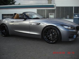 CIMG2311 (Large).JPG