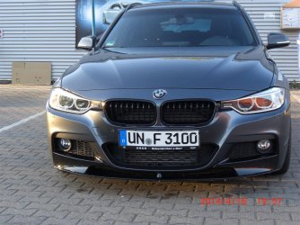 CIMG2258 (Large).JPG