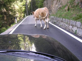 2.JPG