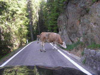 5.JPG