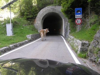 6.JPG