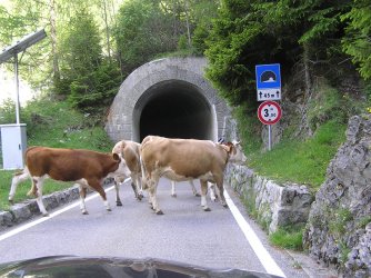 8.JPG