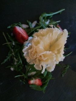 IMG_2145.JPG