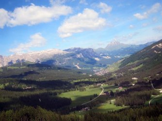IMG_1220.jpg