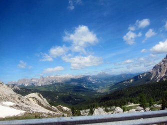 IMG_1237.jpg