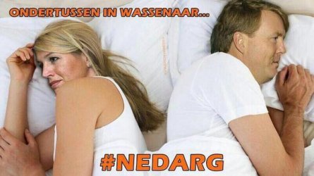 NedArg.jpg