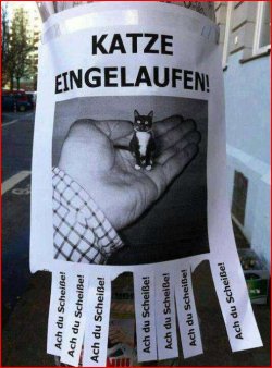1Aufzeichnen.JPG
