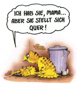 stelltsichquer.jpg