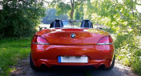 Z4 VA im Grünen-hinten.jpg