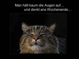 Folie3.JPG