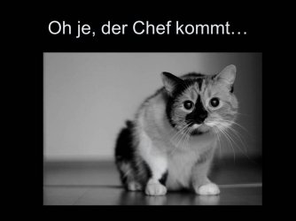 Folie5.JPG