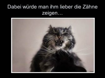 Folie7.JPG