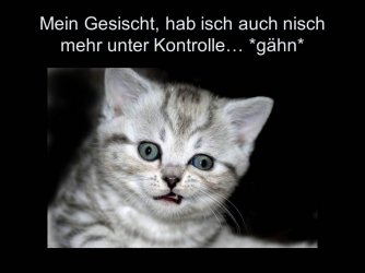 Folie13.JPG