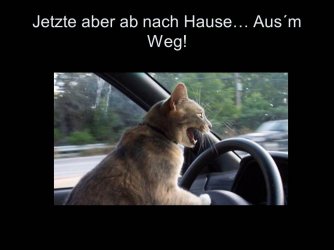 Folie15.JPG