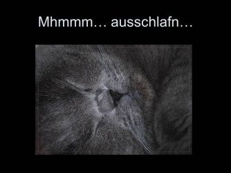 Folie16.JPG