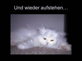 Folie17.JPG