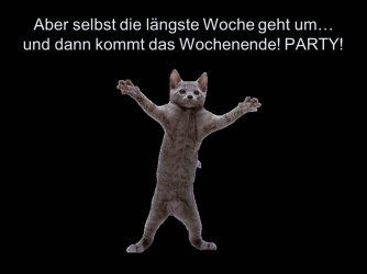 Folie18.JPG