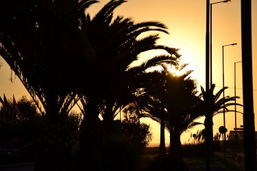 DSC_0804.JPG