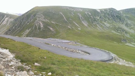 IMAG0290.jpg