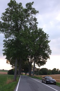 DSCF0067.jpg