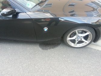 20140813_074225.jpg