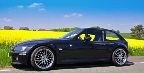 QP vor dem Rapsfeld.jpg