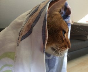 Bild 2.jpg