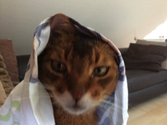Bild.jpg