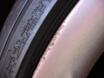 876-7671_IMG.JPG