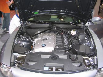 ami04.jpg