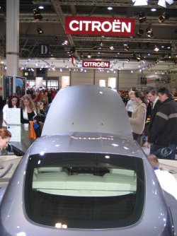 ami08.jpg