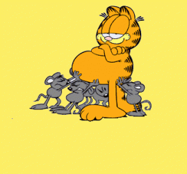 garfield.gif