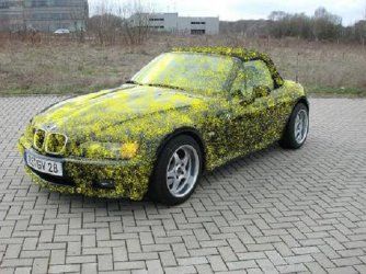 Blütenstaub.JPG