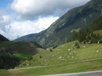 IMG_3381.jpg