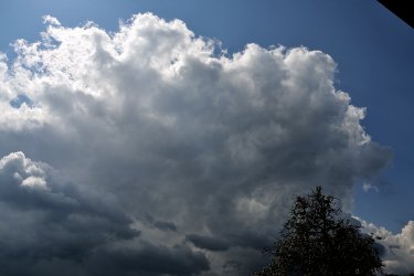 DSC_7176.jpg