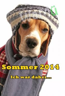 Sommer_2014.jpeg