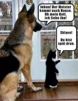 Nach_Hause.jpg