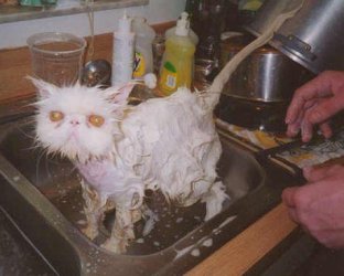 humor-li-picture-4238.jpg