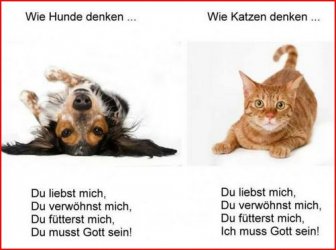 1Aufzeichnen.JPG