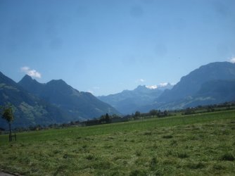image.jpg