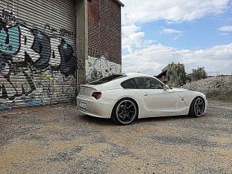 pup3 (1).JPG