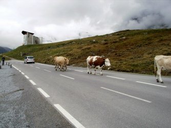 Urlaub in Ischgl Herbst 2014 007.JPG
