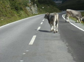 1410117228559.jpg 1410117228559.jpg