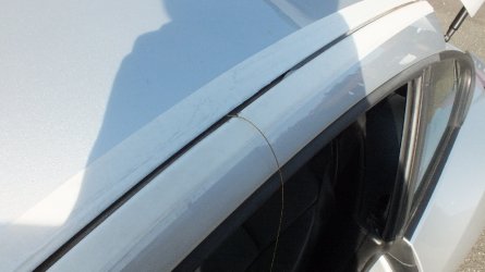 Z4123-Carbondach-13.jpg